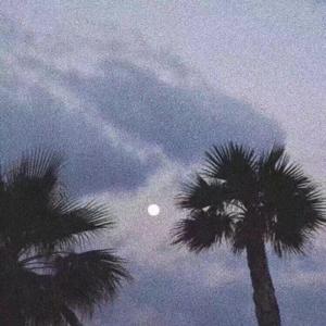 欧美人妖老妇❌❌❌
