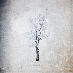 欧美人妖老妇❌❌❌
